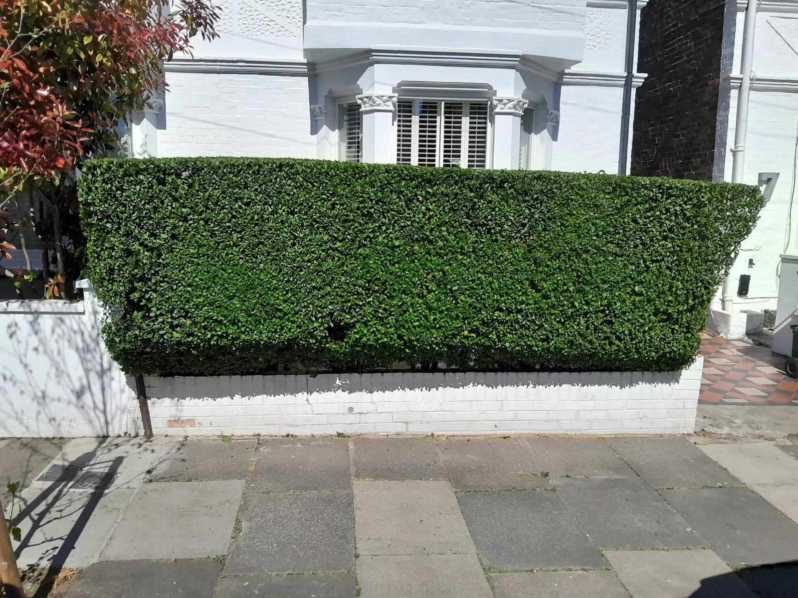 Low box hedge clipped square in front of a white rendered house