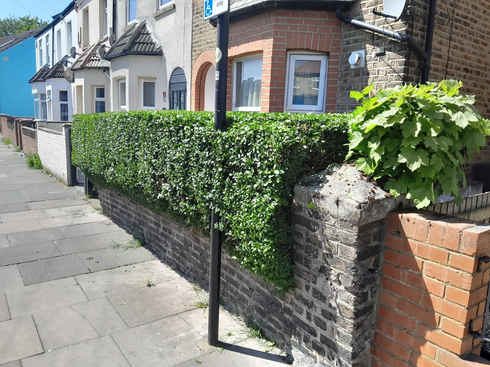 Front-garden hedge trimmed tidy outside a terraced house