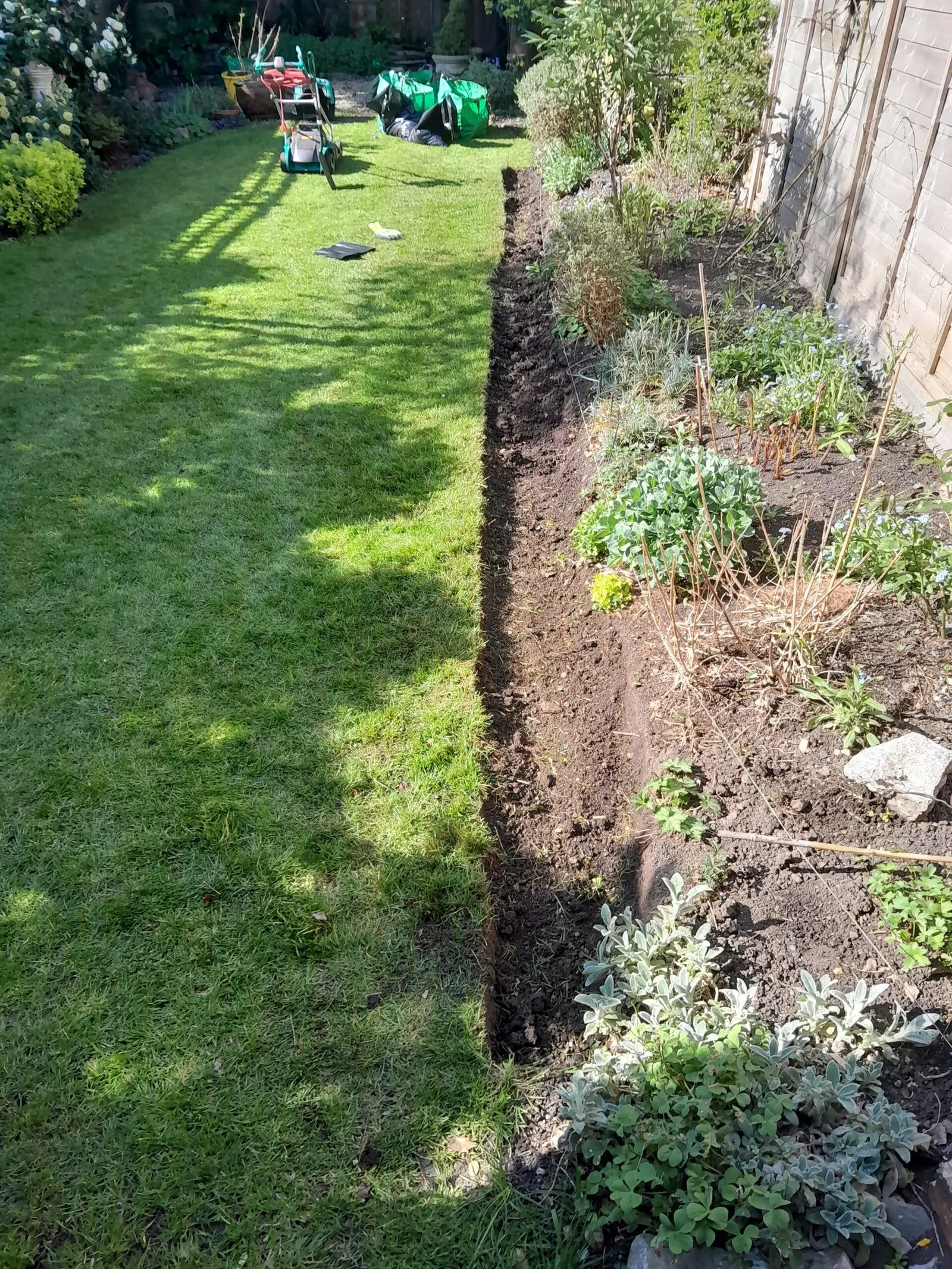 Lawn edge re-cut and border weeded and turned over