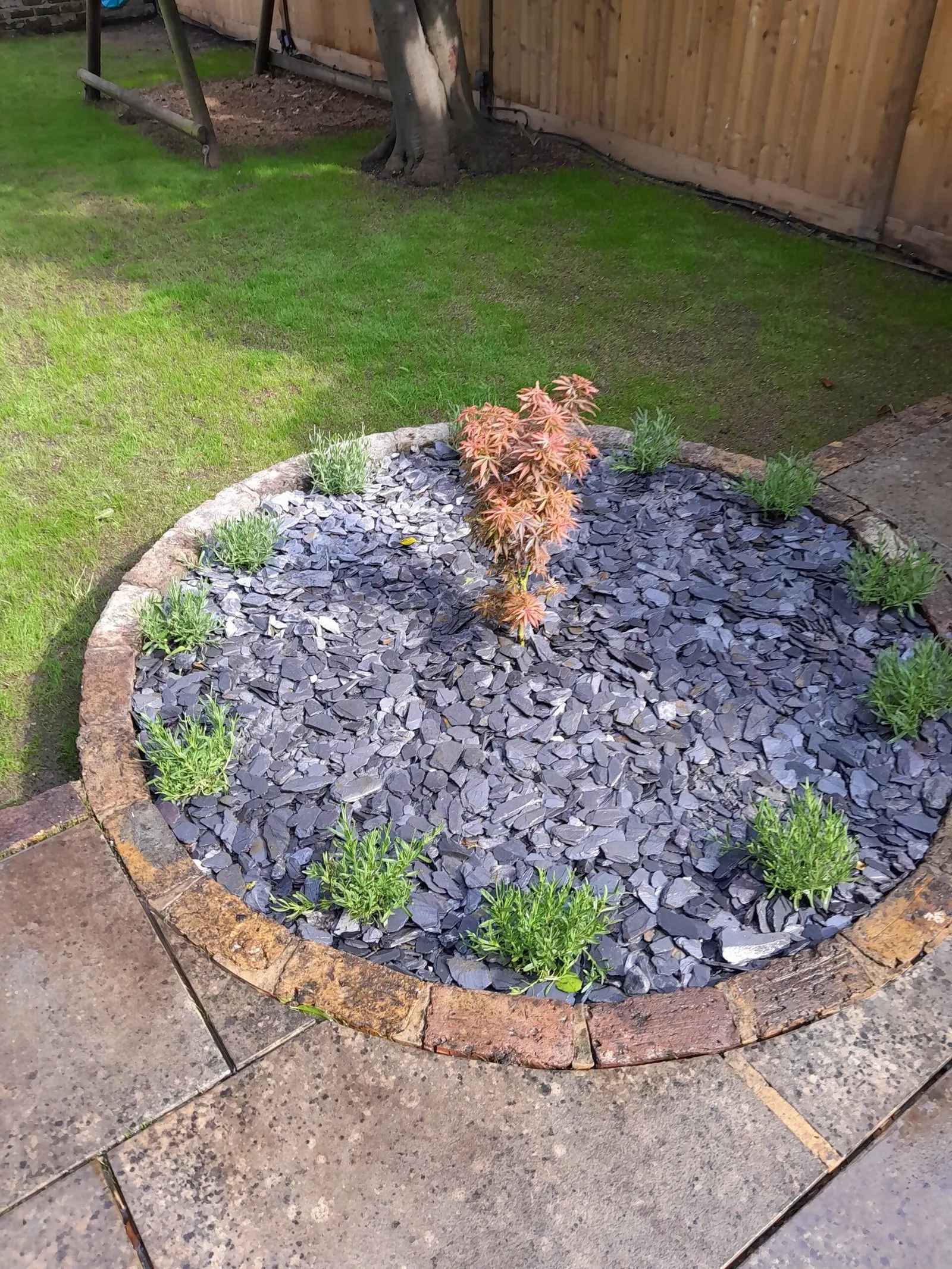 Circular bed dressed with slate chippings and planted with a feature shrub