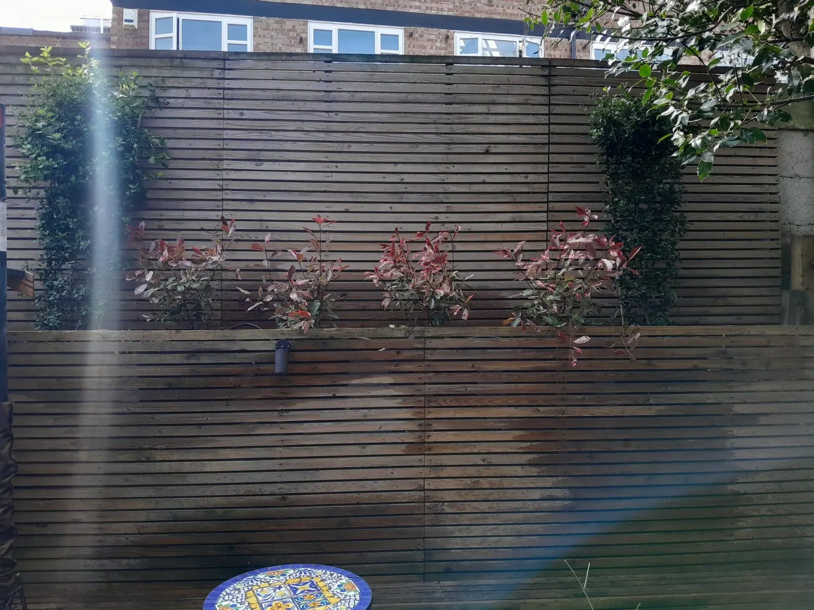 Finished slatted fence with planters and climbers along the base
