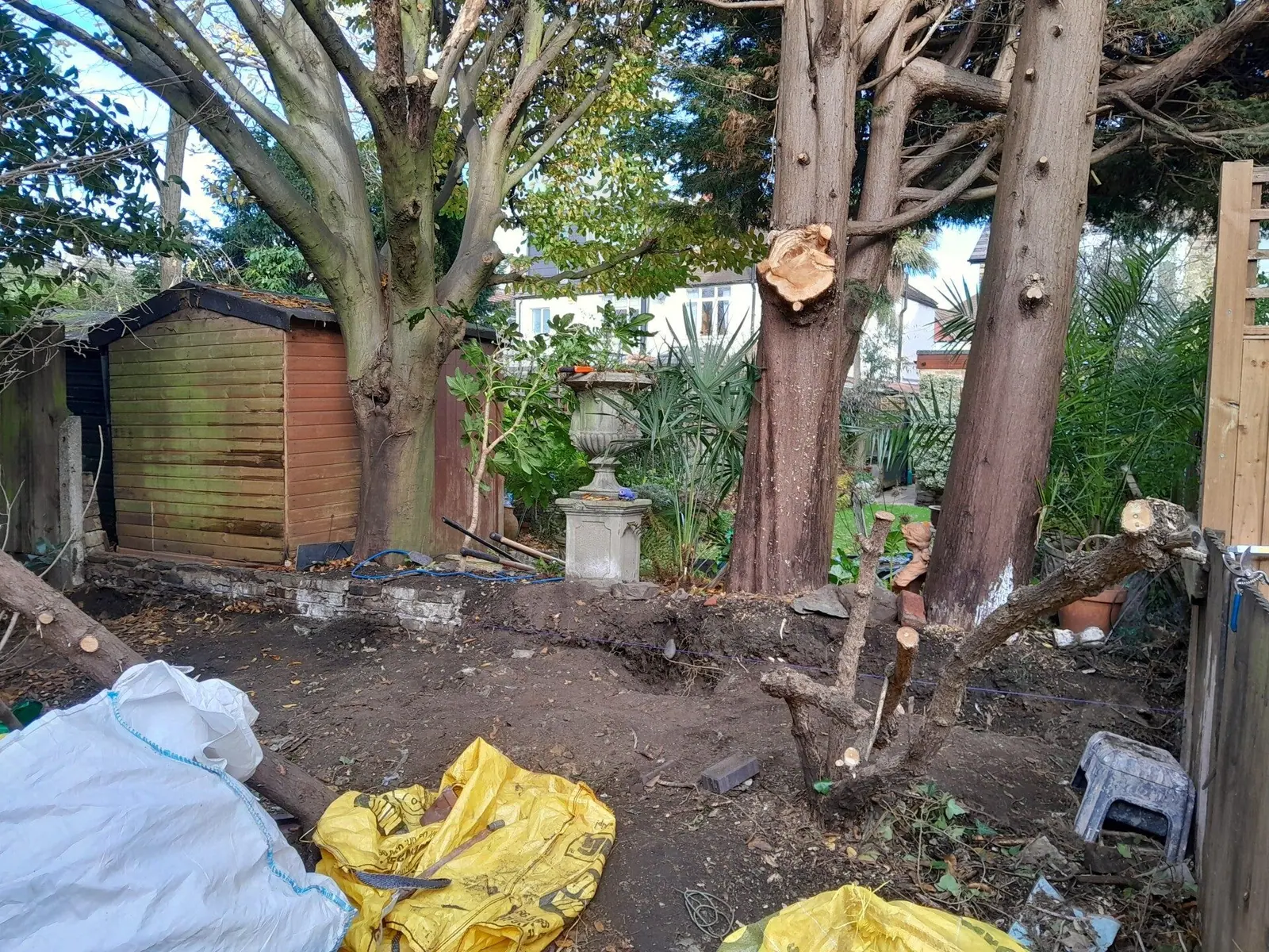 Overgrown corner cleared and a tree cut down to the stump